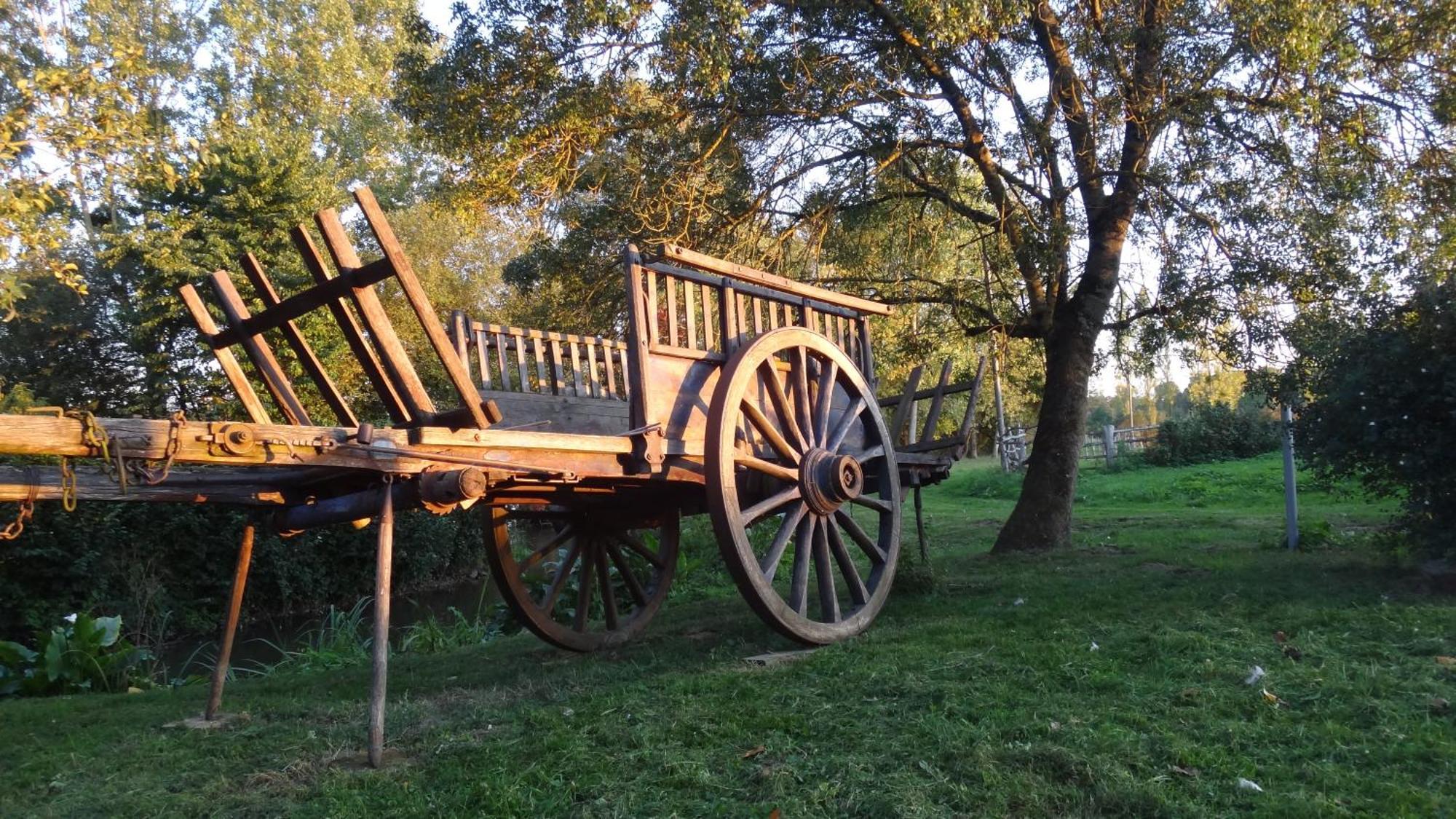 Le Moulin Bregeon Bed & Breakfast Linieres-Bouton Bagian luar foto